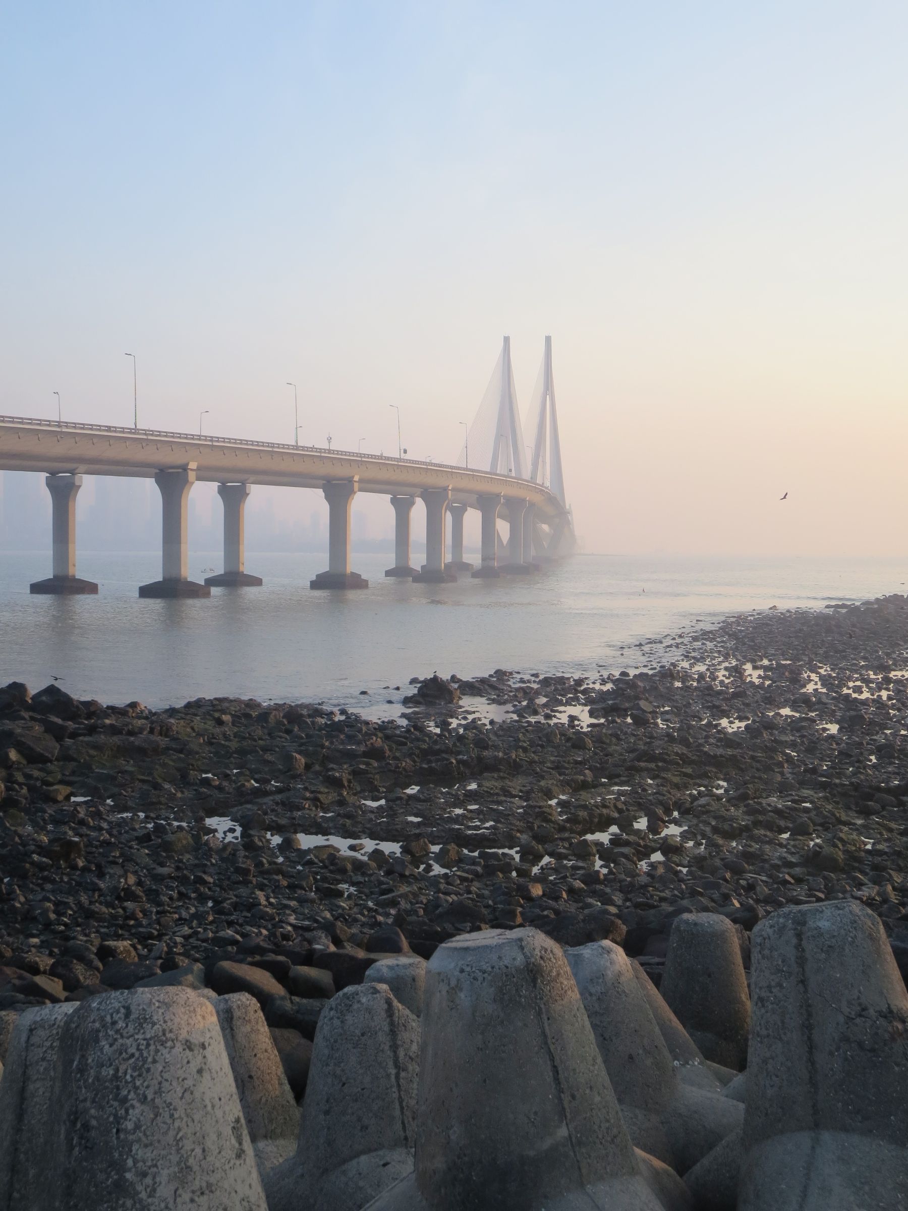 Bandra-Worli Sea Link