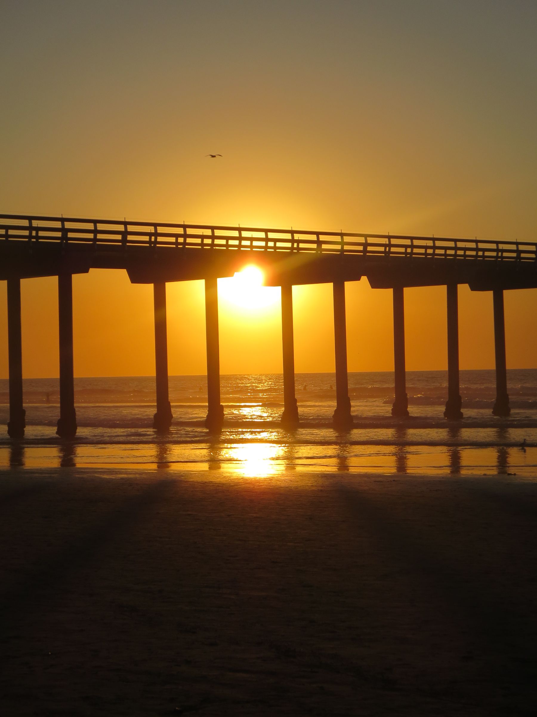 Scripps Pier